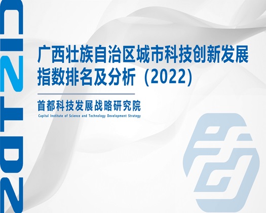 黄片动态图【成果发布】广西壮族自治区城市科技创新发展指数排名及分析（2022）